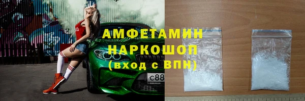 молекула духа Богданович