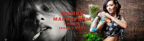 молекула духа Богданович