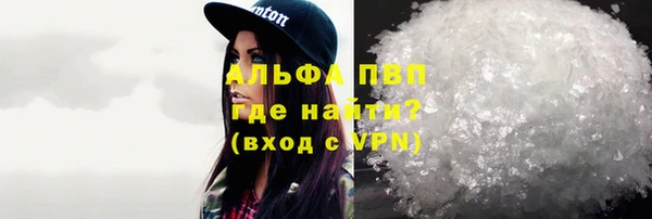 молекула духа Богданович