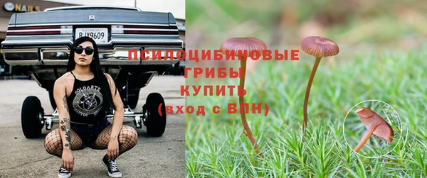 молекула духа Богданович