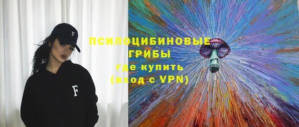 молекула духа Богданович