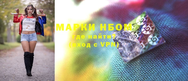 молекула духа Богданович