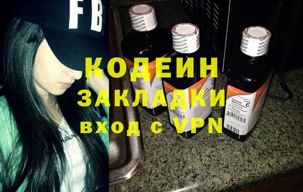 молекула духа Богданович
