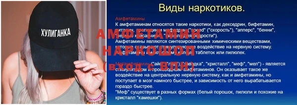 spice Богородицк