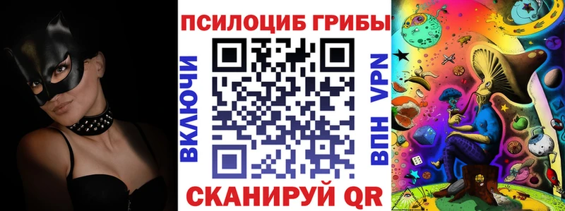 Псилоцибиновые грибы мицелий  Бирюч 