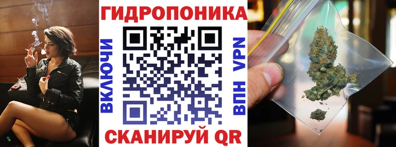 Конопля семена  купить наркотики цена  мега сайт  Бирюч 